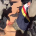 Policia mata Lazaro em caçada