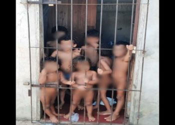 adolescente de 13 anos, tia das crianças, também estava na residência. Menores foram levados para abrigos.
