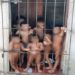 adolescente de 13 anos, tia das crianças, também estava na residência. Menores foram levados para abrigos.