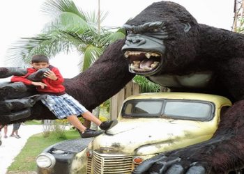 Garoto comemorava aniversário com a família no parque temático em Penha. Ele sofreu traumatismo craniano, passou por cirurgia e está em estado grave.
