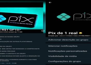 Grupos de Pix se baseiam em esquema de pirâmide e podem trazer prejuízos financeiros; prática é crime contra a economia popular