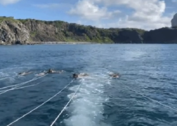 Vídeo mostra turistas no mar em Fernando de Noronha momentos antes de mergulho que terminou em morte de professor de Ribeirão Branco (SP) — Foto: Arquivo Pessoal/Reprodução/TV TEM
