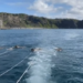 Vídeo mostra turistas no mar em Fernando de Noronha momentos antes de mergulho que terminou em morte de professor de Ribeirão Branco (SP) — Foto: Arquivo Pessoal/Reprodução/TV TEM