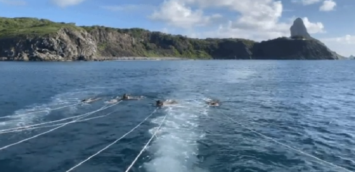 Vídeo mostra turistas no mar em Fernando de Noronha momentos antes de mergulho que terminou em morte de professor de Ribeirão Branco (SP) — Foto: Arquivo Pessoal/Reprodução/TV TEM