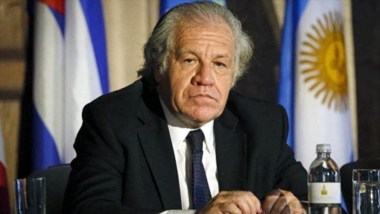 Presidente da OEA, Luis Almagro
