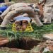 Mulher é agredida e abandonada em buraco com cerca de 3 metros de profundidade