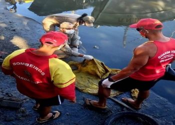 Segundo os Bombeiros, que esteve no local, no bairro Cehab, o corpo do recém-nascido já estava em estado de decomposição.