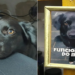 Os donos de uma loja de calçados de Sorocaba (SP) escolheram um cão como "funcionário do mês"