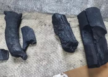 Cocaína disfarçada de carvão vale R$ 35 milhões de euros