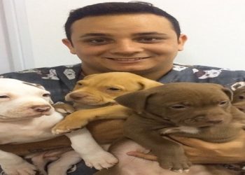 Felippe de Lana Santos estava de moto, enquanto a esposa e filha estavam em um carro logo atrás dele