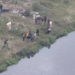 Policiais encontram ossada durante busca por informações que possam levar ao paradeiro de três crianças em Belford Roxo — Foto: Reprodução/ TV Globo