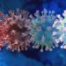 NOVO CORONAVIRUS NA CHINA