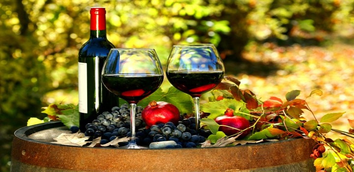 festival do vinho de Petrópolis 2021