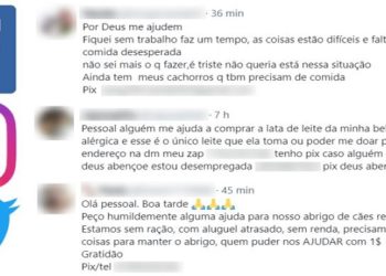 Desemprego recorde e novo meio de pagamento sem custos levam a aumento de pedidos de ajuda na internet. Golpistas e robôs tentam se aproveitar da situação (Fotos: Reprodução Redes Sociais)