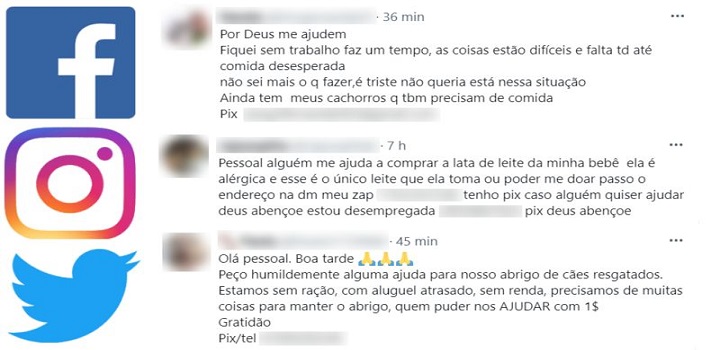 Desemprego recorde e novo meio de pagamento sem custos levam a aumento de pedidos de ajuda na internet. Golpistas e robôs tentam se aproveitar da situação (Fotos: Reprodução Redes Sociais)