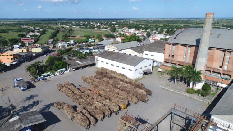 Canas da Usina Paraíso