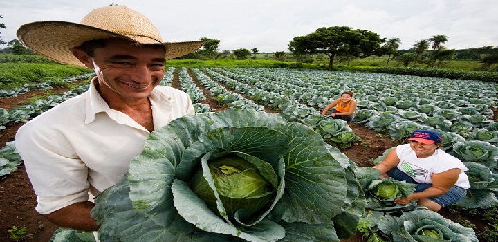 projeto de lei aprova auxílio para agricultura famjliar