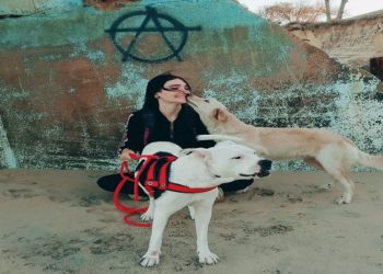 “Pessoas que levam seus cães para passear regularmente correm um terço do risco de ter diabetes do que aquelas que não têm cachorro”, afirma a associação (Foto: Divulgação)