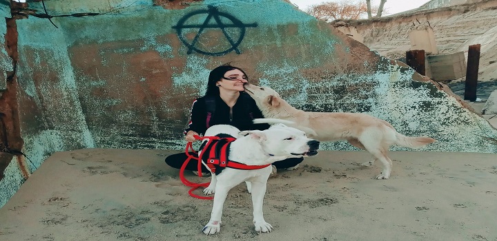 “Pessoas que levam seus cães para passear regularmente correm um terço do risco de ter diabetes do que aquelas que não têm cachorro”, afirma a associação (Foto: Divulgação)
