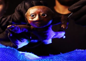 Animadinhos Teatro do Sesi