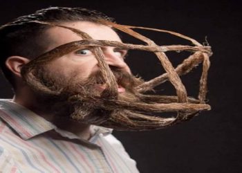 Pesquisas premiadas no IG NOBEL 2021