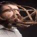 Pesquisas premiadas no IG NOBEL 2021