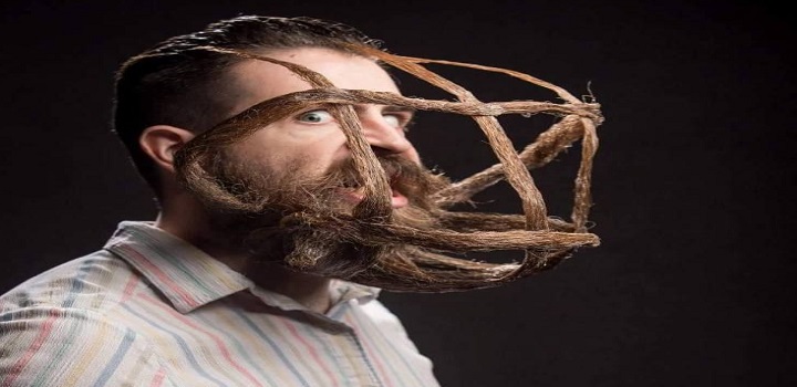 Pesquisas premiadas no IG NOBEL 2021
