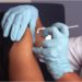 CIP da covid: Uma linha do tempo do que aconteceu até aqui