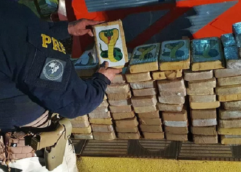 PRF apreende 83 kg de cocaina no Tocantins
