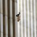 O fotógrafo do "O Homem Caindo" diz já ter refletido um pouco sobre quem era o homem que registrou pulando de uma das torres gêmeas