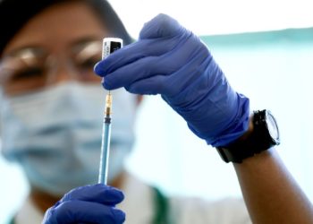 Vacina Butanvac: Saiba como está o desernovimento da vacina brasileira