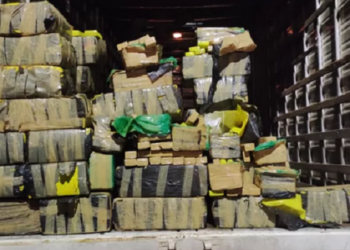 1 TONELADA DE DROGAS NA BR-101