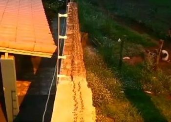 PMs executam foragido da Justiça após homem colocar as mãos na cabeça