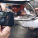 PL pode punir quem postar imprudencia no transito na internet