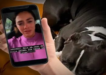 Segundo laudo do veterinário que atendeu o pet, cachorro morreu asfixiado A companhia aérea Latam anunciou que vai interromper por 30 dias o transporte de pets no porão de aviões. A medida está em vigor desde a última quinta-feira (15).