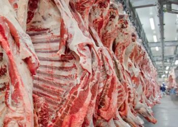 O veto da China à carne brasileira, que dura seis semanas, repercute no exterior.