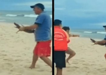 Animal foi usado de arma após dois homens brigarem na praia carioca. (Imagem: Reprodução)