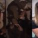 policial militar foi flagrado agredindo uma mulher durante uma abordagem em Curitiba, na última sexta-feira (22).