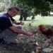 Policiais civis da 105ª DP (Petrópolis) prenderam nesta tarde um homem acusado de matar o vizinho após ouvir reclamações sobre um galo que aprendeu a cantar a palavra "Bolsonaro".