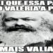 administradores de grandes páginas de memes dos EUA têm acusado o Instagram de remover suas contas sem motivo.
