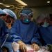 Transplante de rim de porco geneticamente modificado não causou rejeição no corpo humano; método experimental será estudado para outros fins médicos