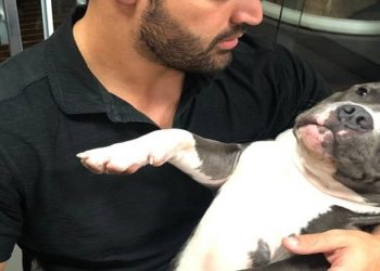 Giuliano Conte com o cachorro Weiser Foto: Arquivo pessoal