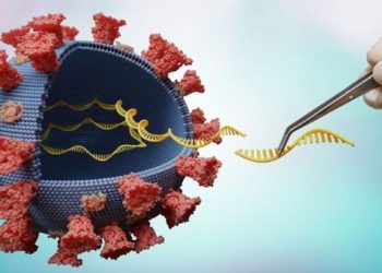 Possibilidade de novas variantes do coronavirus