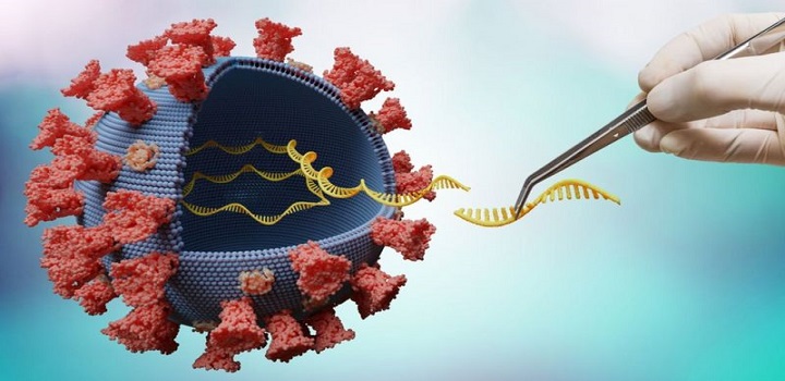 Possibilidade de novas variantes do coronavirus