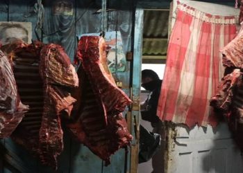 Dez pessoas viram rés por abate e venda ilegal de carne de cavalo em Caxias do Sul