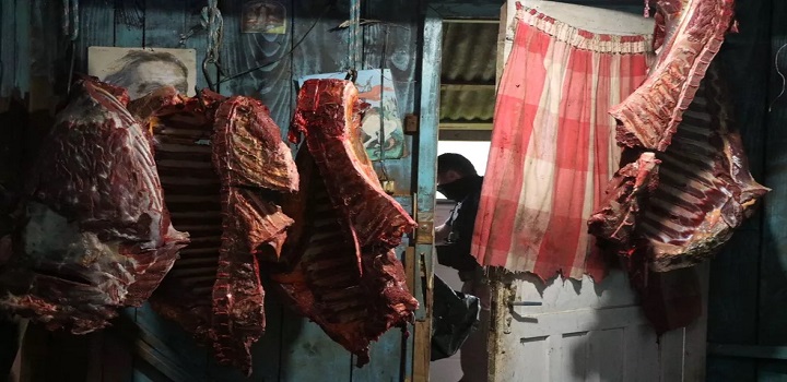 Dez pessoas viram rés por abate e venda ilegal de carne de cavalo em Caxias do Sul
