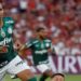 A América continua verde! Palmeiras bate Flamengo e leva o tri da Libertadores;