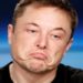 queda da tesla