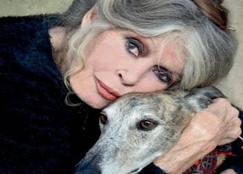A atriz francesa Brigitte Bardot, de 87 anos, deverá pagar multa de cerca de R$ 128 mil reais (20 mil euros) após ter sido condenada em um tribunal de Saint-Denis nesta quarta feira por insultos racistas aos moradores da ilha francesa de Reunião, localizada no Oceano Índico.