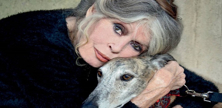 A atriz francesa Brigitte Bardot, de 87 anos, deverá pagar multa de cerca de R$ 128 mil reais (20 mil euros) após ter sido condenada em um tribunal de Saint-Denis nesta quarta feira por insultos racistas aos moradores da ilha francesa de Reunião, localizada no Oceano Índico.